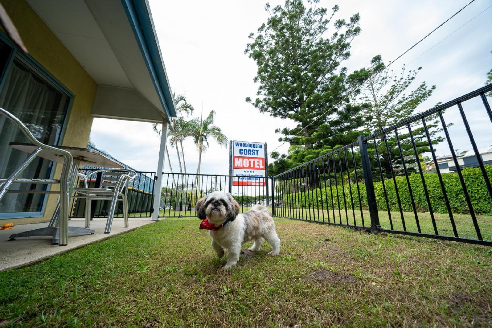 Woolgoolga Coast Motel Pokoj fotografie